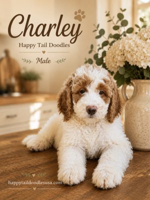 Happy Tail Doodles: Charley